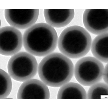 Particules magnétiques MagneStar MS1000-NH2